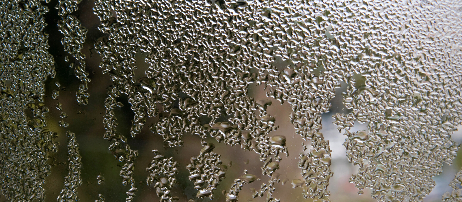 Need to Know: Condensation