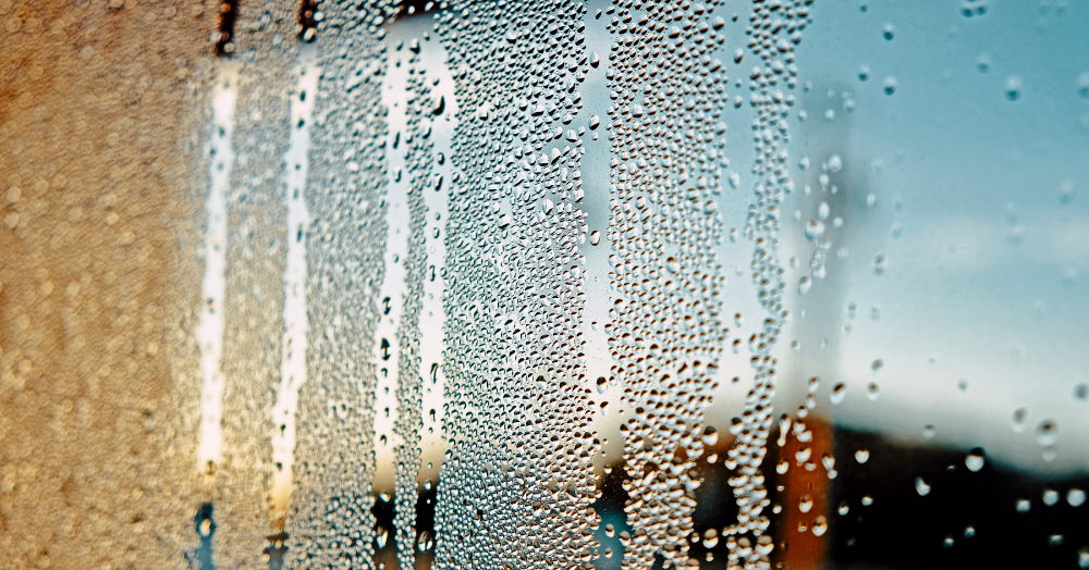 How to Prevent Condensation – A Landlord’s Guide